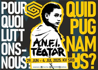 12. A.N.F.I. TEATAR